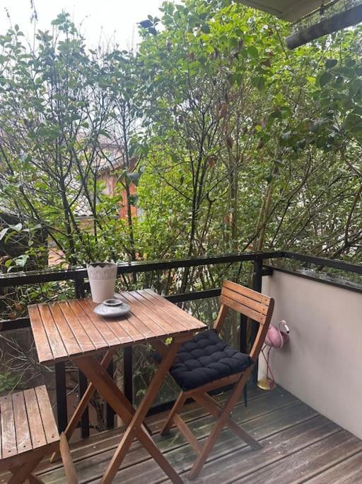 Jardin Des Plantes Parking Securise Terrasse Et Ascenseur Appartement Toulouse Buitenkant foto